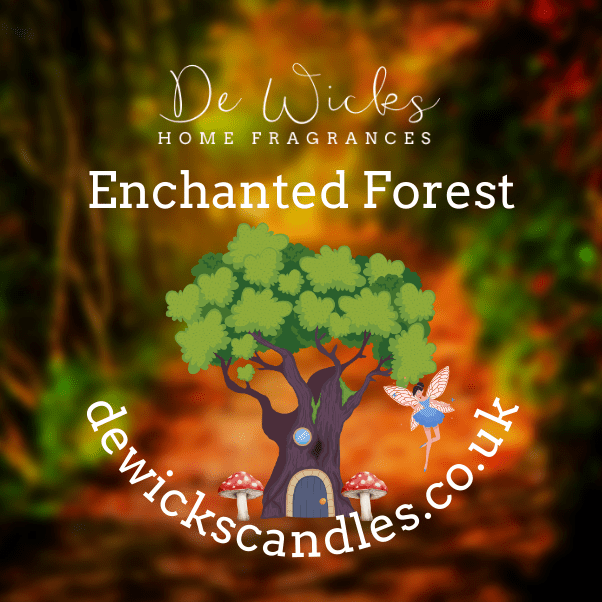 Enchanted Forest