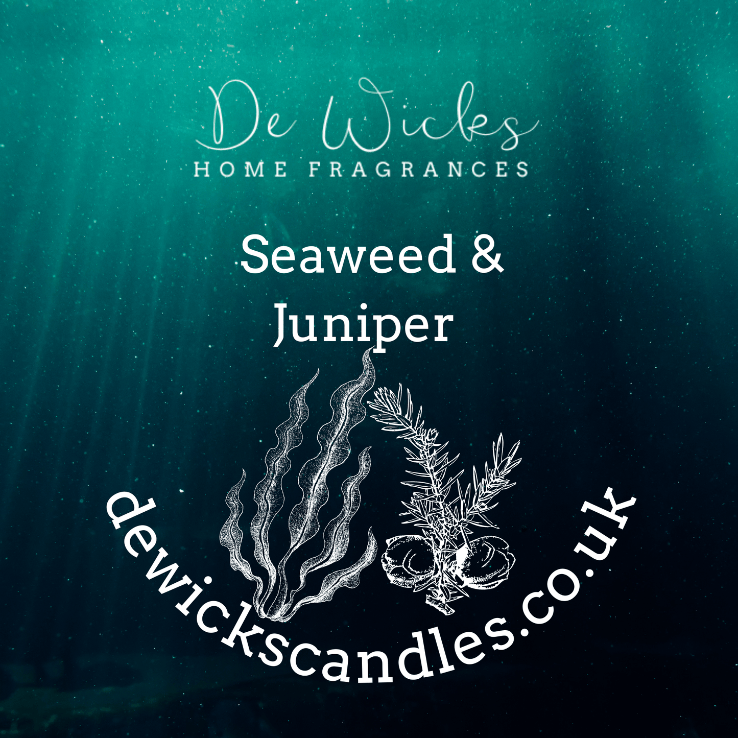 Seaweed & Juniper