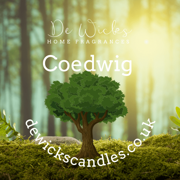 Coedwig