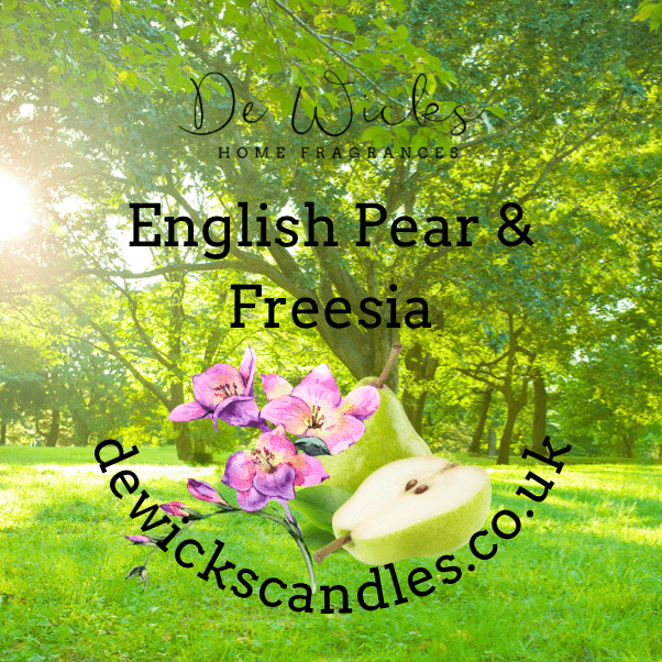 English Pear & Freesia