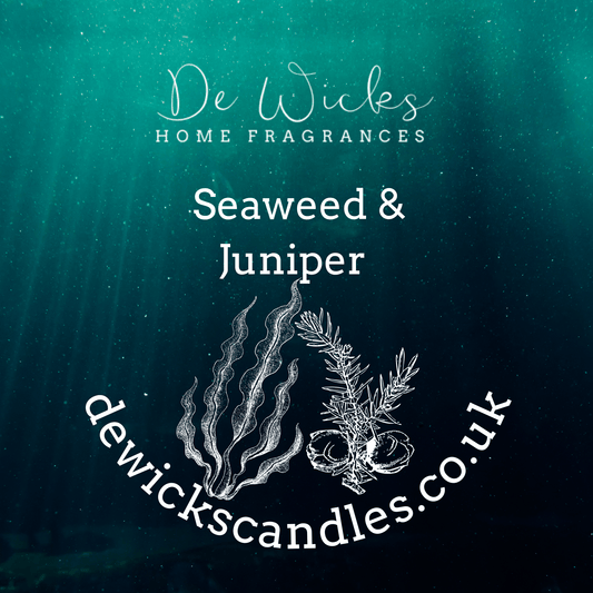 Seaweed & Juniper