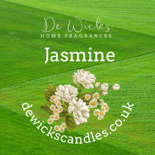 Jasmine